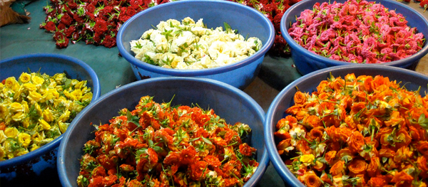 Flower price in Chennai March 2026