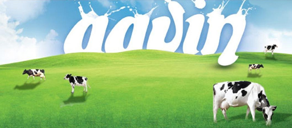 Aavin and Arokya Milk Price in Chennai