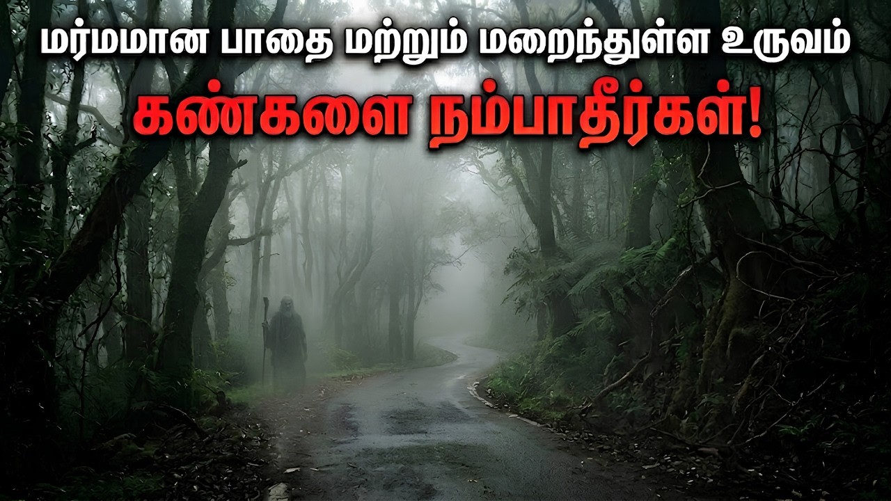 70 கொண்டை ஊசி வளைவுகள்… பின்னணியில் ஒரு பெண் உருவம்! கொள்ளிமலையின் அதிரவைக்கும் மர்மங்கள் உண்மையா?